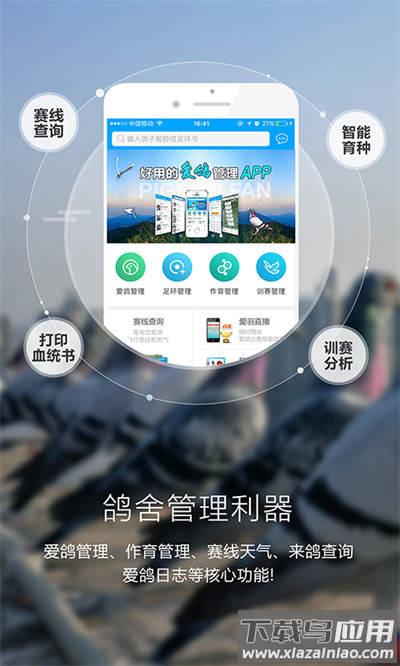 爱鸽者app官方版截图4