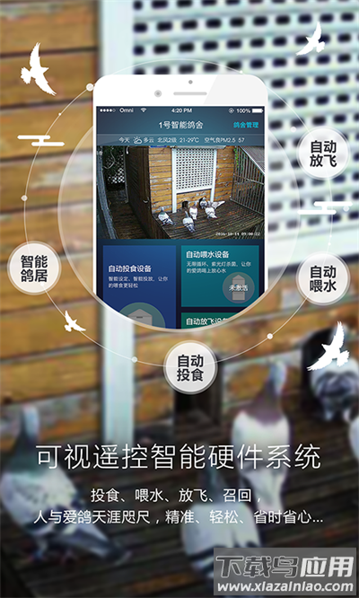 爱鸽者app官方版截图5