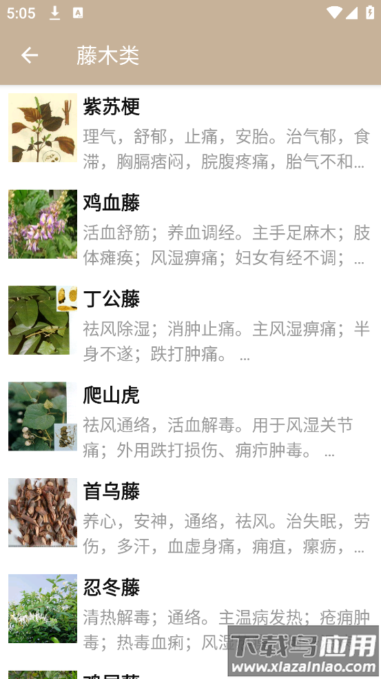 中草药宝典app官方版截图2