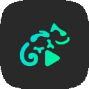 蜥蜴音乐播放器最新版本(Stellio Player)
