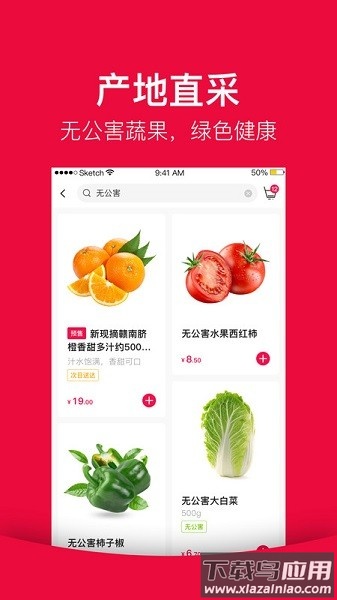 大美买菜最新版