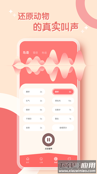 鸟语翻译器中文版下载