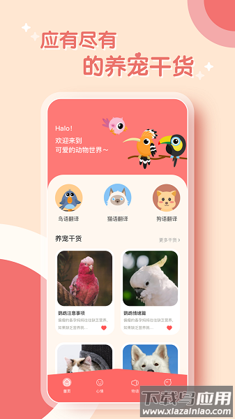 鸟语翻译器中文版截图4