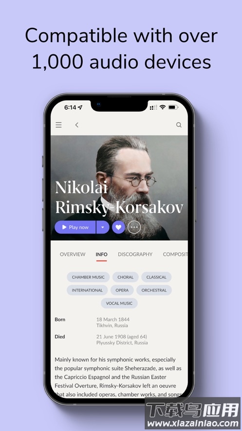 roon remote 安卓版最新版截图3
