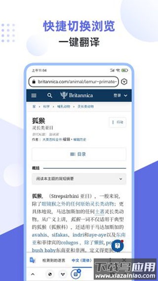 狐猴浏览器app官方最新版最新版截图2