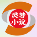 灵梦小说APP