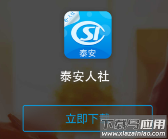 泰安人社手机app下载安装