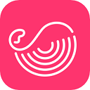 灰豚数据app官方版
