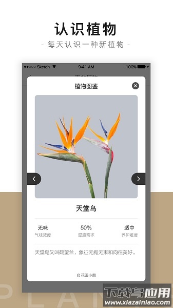 花田小憩app下载