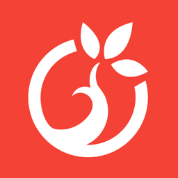 师培在线app