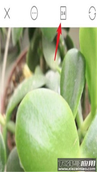 激萌美颜相机2024最新版