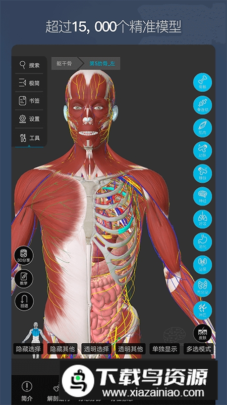 维萨里3D解剖免费安卓版截图5