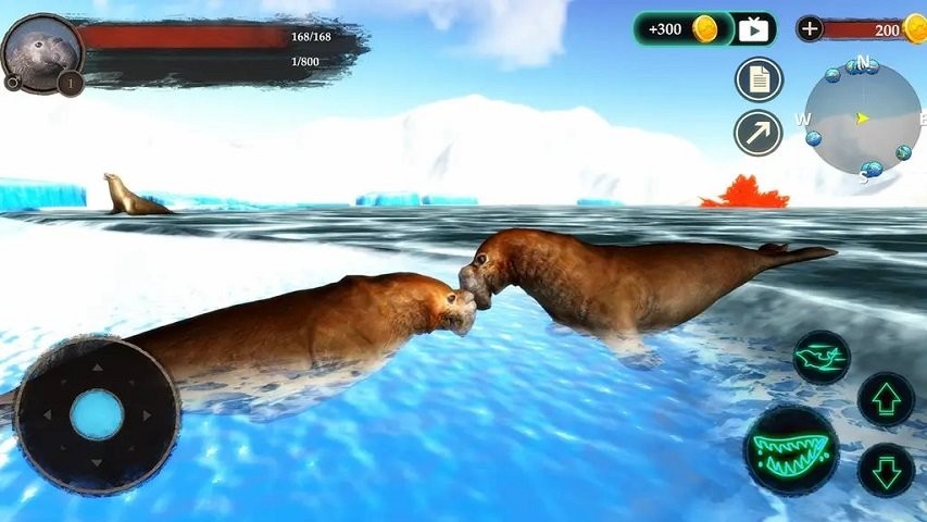 海豹模拟器最新版(The Seal Elephant)最新版截图2