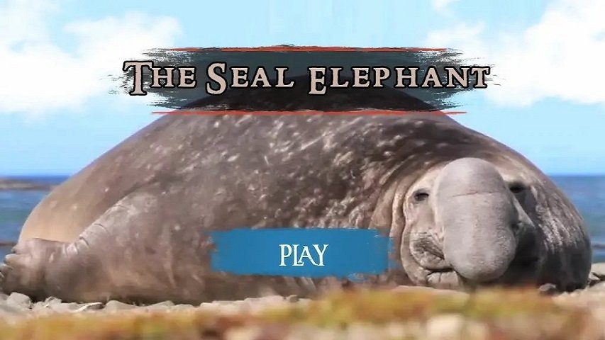 海豹模拟器最新版(The Seal Elephant)最新版截图3