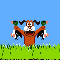 鸭子射击大师游戏