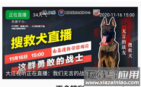 大江网大江新闻app