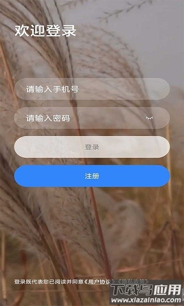 乐学网官方版截图3