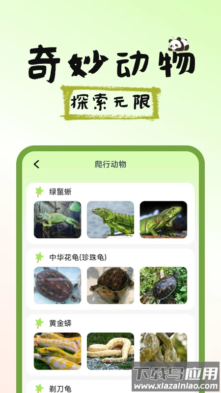 图图宠物百科最新版截图2