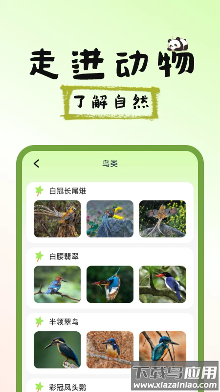 图图宠物百科最新版截图3
