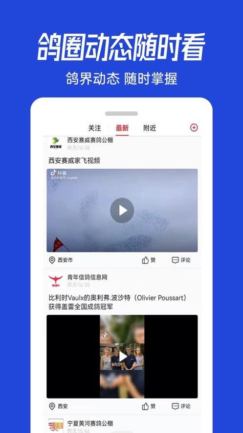 青鸽网查询截图2