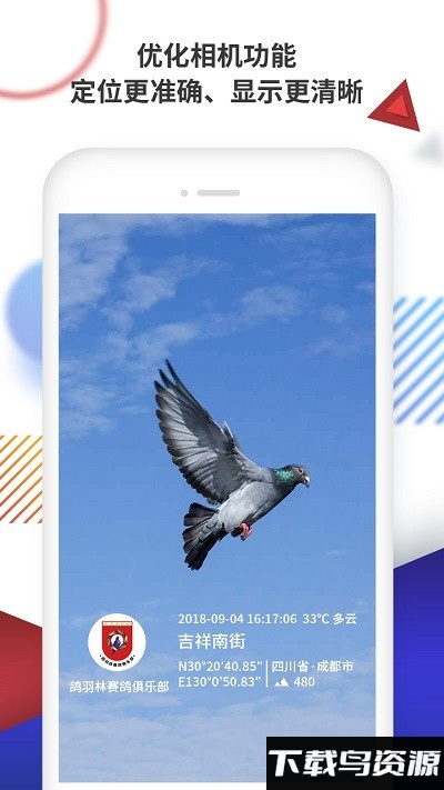 鸽羽林app最新版截图2