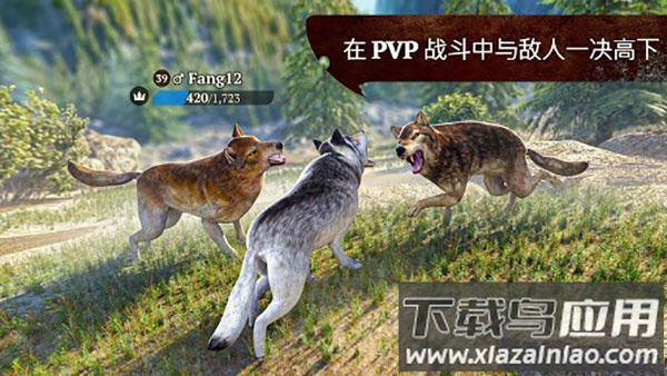 狼族游戏中文版最新版截图3