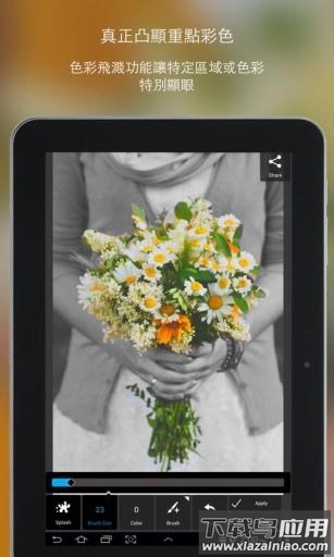 pixlr照片处理截图2