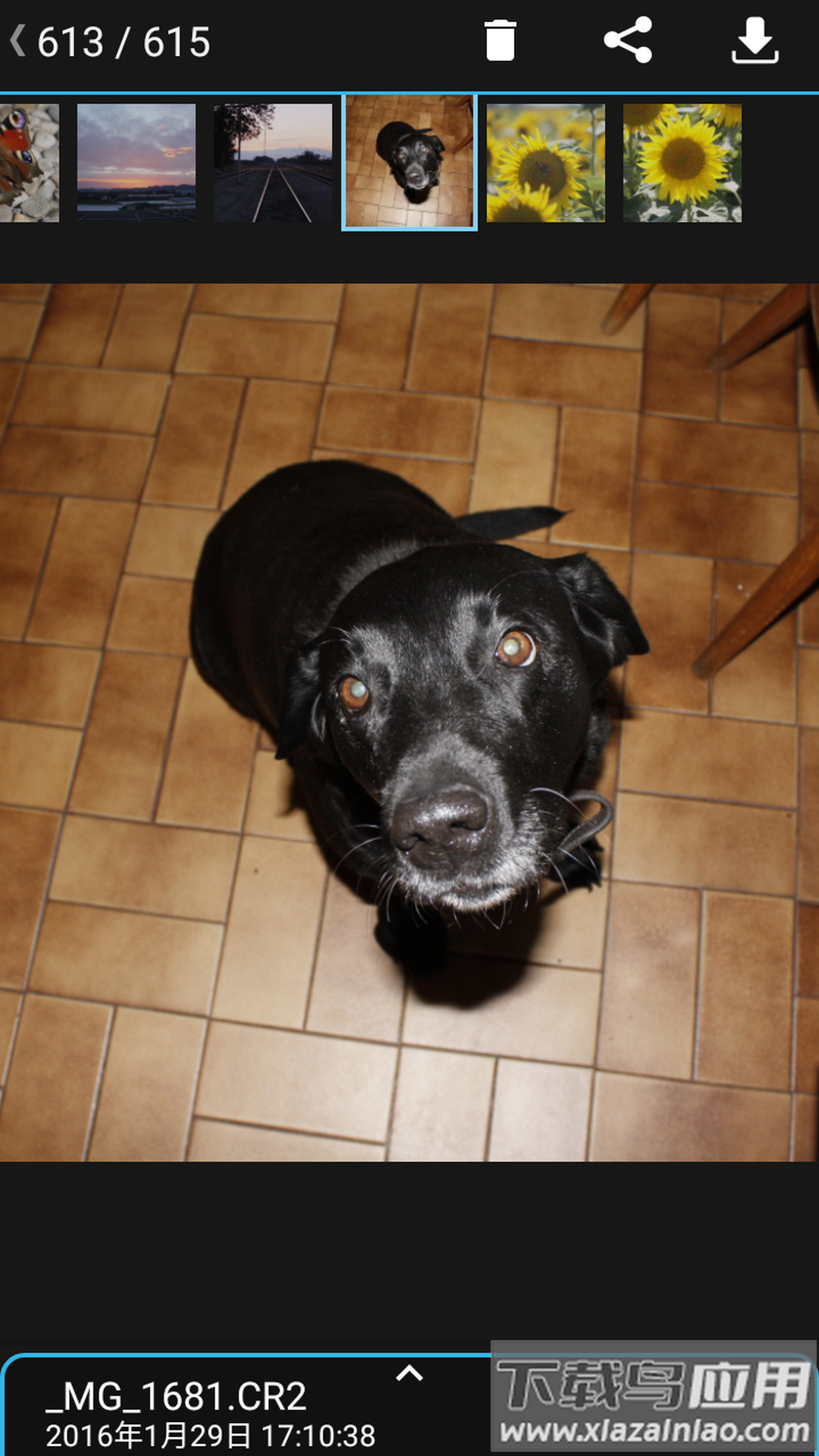 相机连接和控制app下载最新版截图1