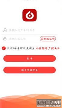 领拍app截图3