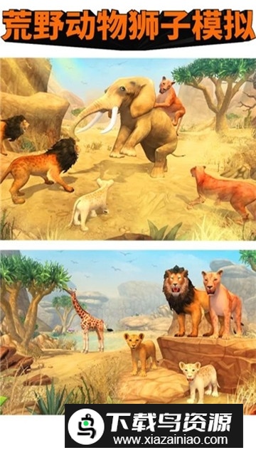 荒野动物狮子模拟器官方最新版最新版截图2