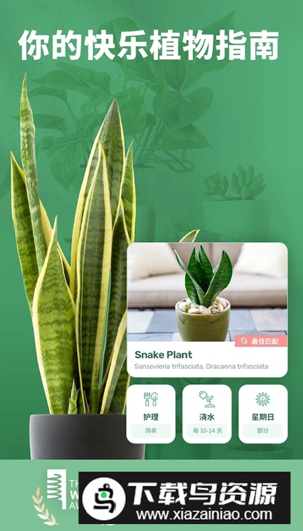 繁花盛开Blossom软件最新版最新版截图1