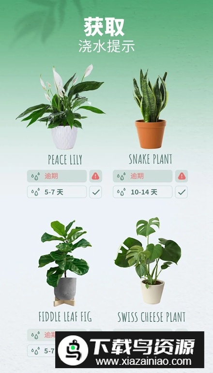 繁花盛开Blossom软件最新版最新版截图3