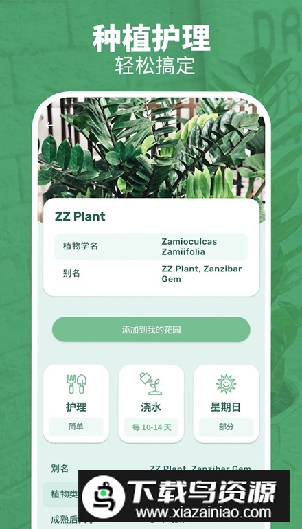 繁花盛开Blossom软件最新版最新版截图4