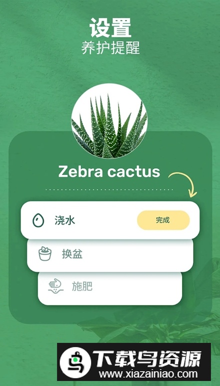 繁花盛开Blossom软件最新版最新版截图5