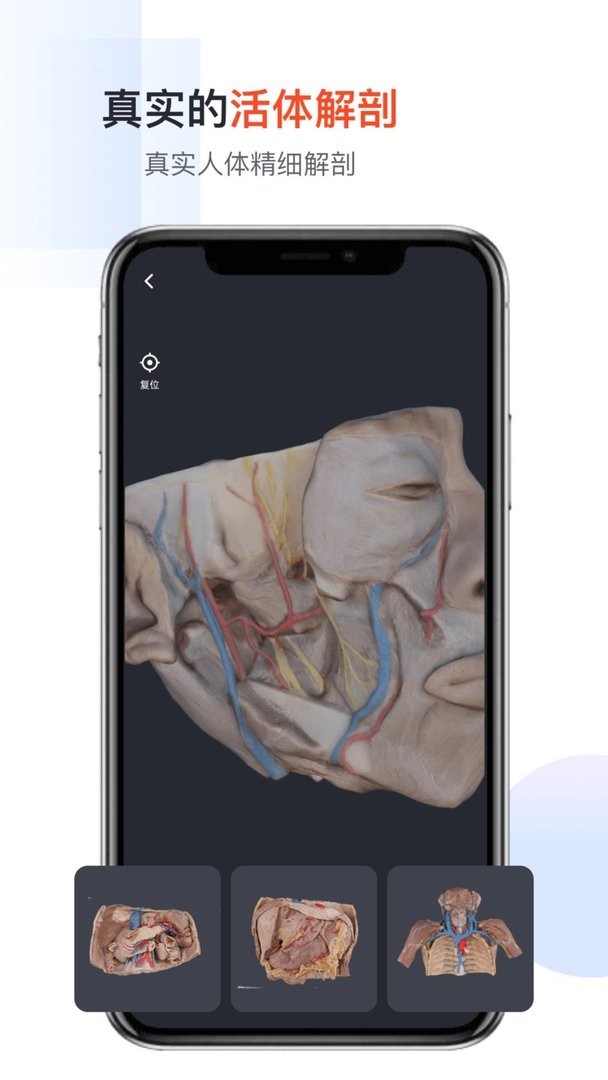 口袋人体解剖手机版最新版截图2