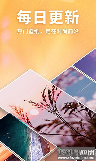 灵猫壁纸大全最新版截图4