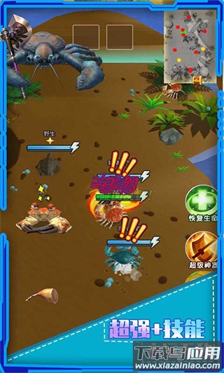 螃蟹之王手机版下载最新版截图2