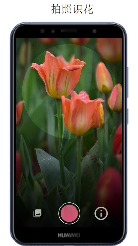 万物识别软件免费版最新版截图2