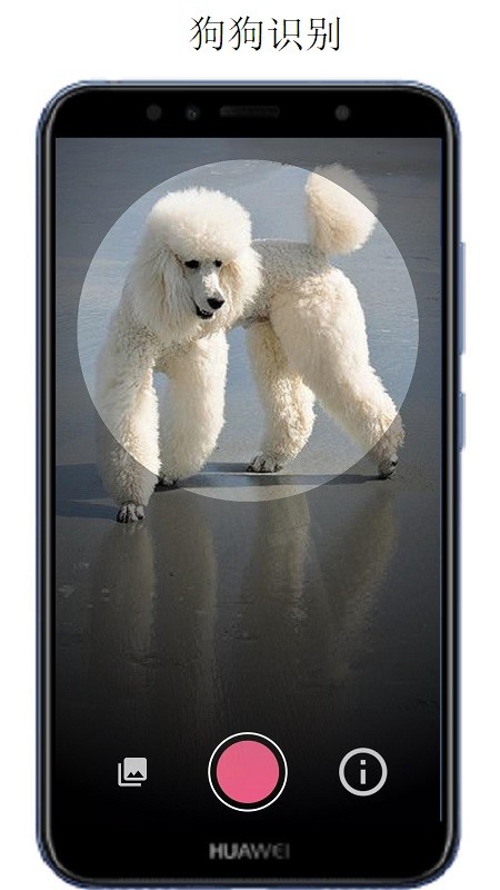 万物识别软件免费版最新版截图3