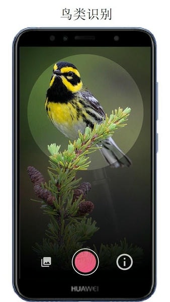 万物识别软件免费版最新版截图4