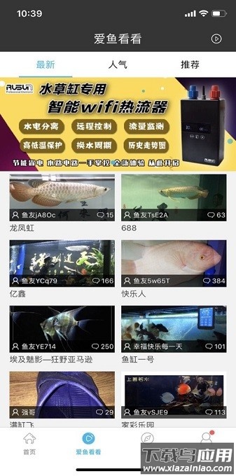 爱鱼奇软件最新版截图1