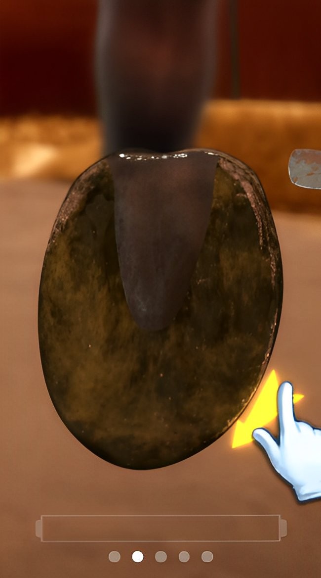 赛马也疯狂免广告版最新版截图2