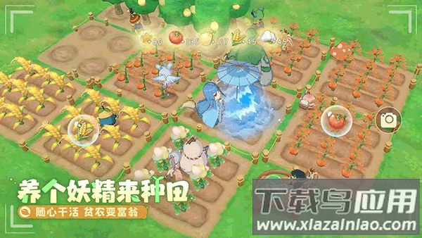 织梦森林华为版最新版截图2