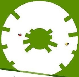 闭环飞行手机版