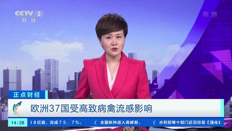 小薇直播电视版app最新版截图2