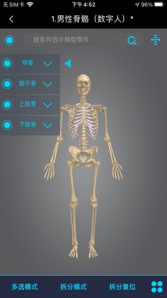 医维度3d人体解剖截图3