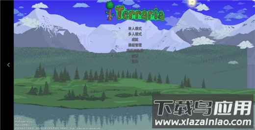 泰拉瑞亚灾厄手机版(tModLoader)
