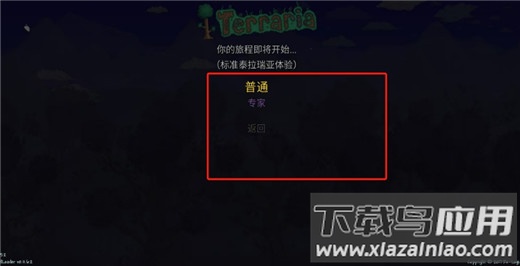 泰拉瑞亚灾厄手机版(tModLoader)