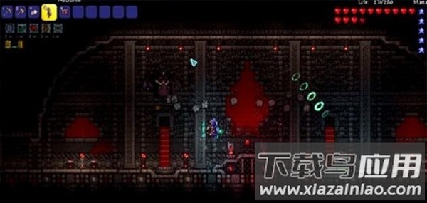 泰拉瑞亚灾厄手机版(tModLoader)截图3