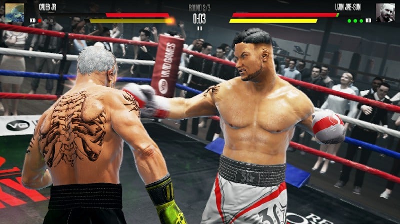 真实拳击2无限金币版下载